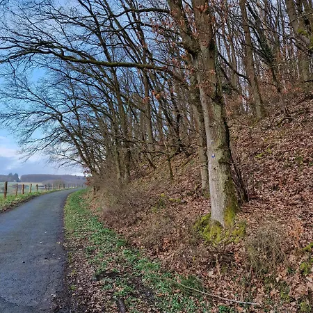 Apartament Am Kirchberg Gladenbach